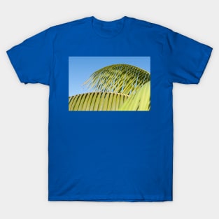 Palm frond detail against sky T-Shirt